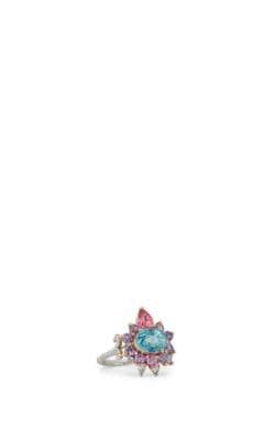 Arnez Ring