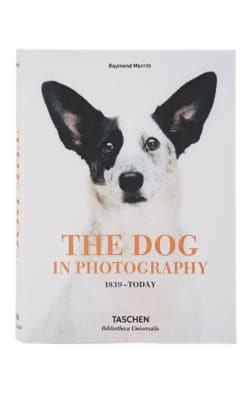 The Dog In Photography: 1839 - Today