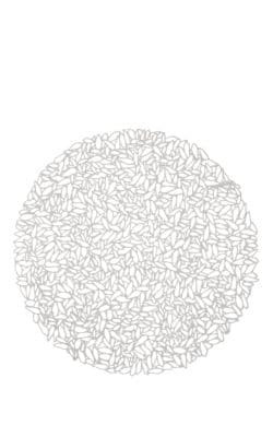 Petal Placemat