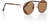 Zev Sunglasses