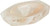 Shell Dish - Medium