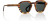 Torero Sunglasses