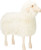 Large Sheep