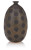 Large-Dot Ceramic Vase