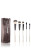 Ultimate Brush Set