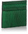 Alligator Card Case