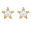 Pearl Star Stud Earrings