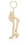 Hector Key Chain 2