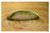 Unichi-Aloe Vera Extract 1000mg 60 Capsules