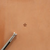 Craftool Small Star Stamp 6610-00