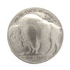 Buffalo nickel matte nickel front