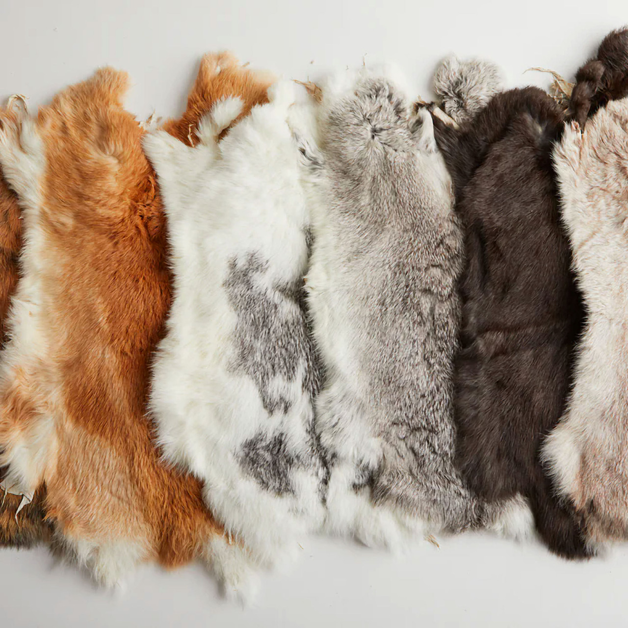 SUNSEA Rabbit Fur 尻皮 Select Rabbit Skin Assorted Shape & Color