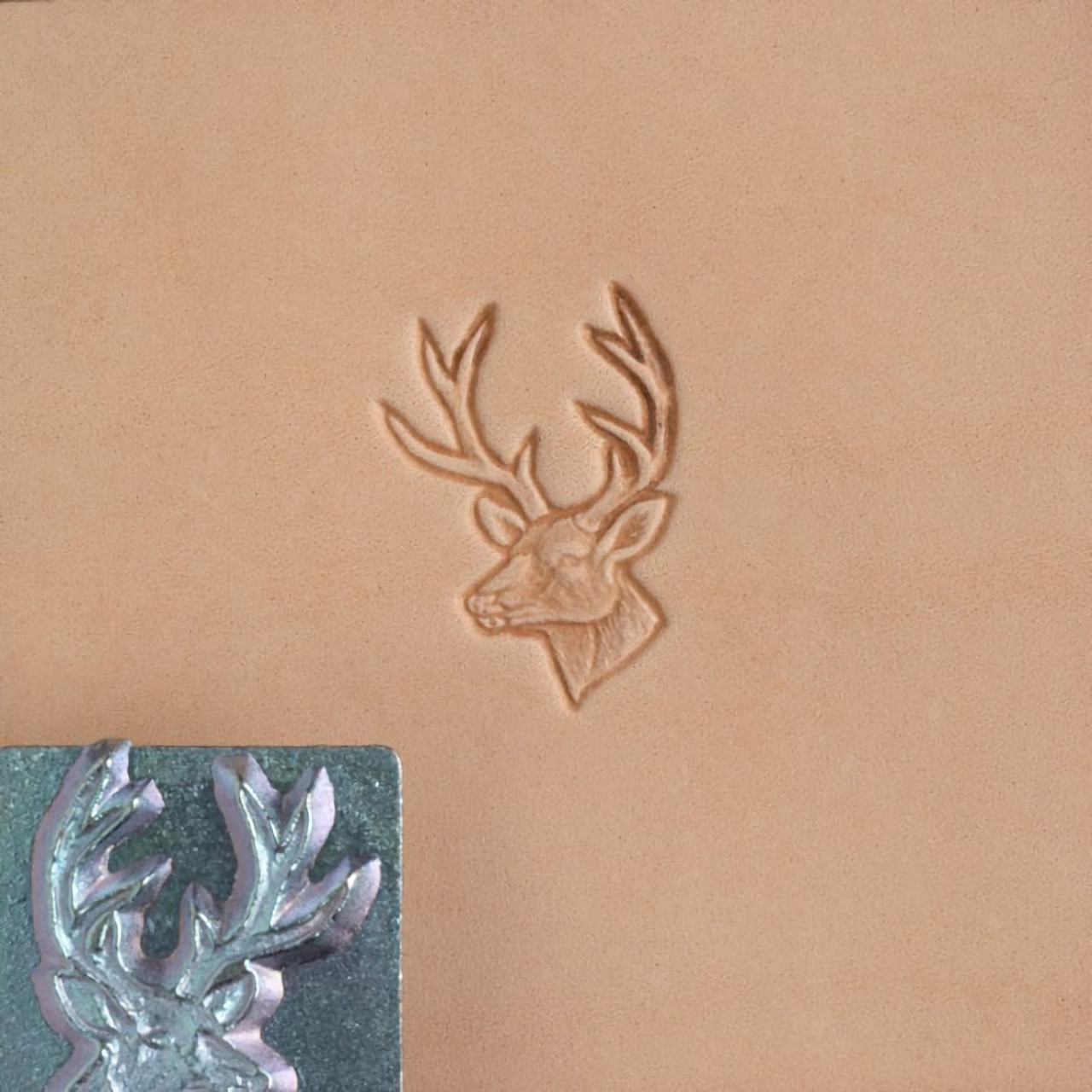 White tail deer stamp and its leather impression.