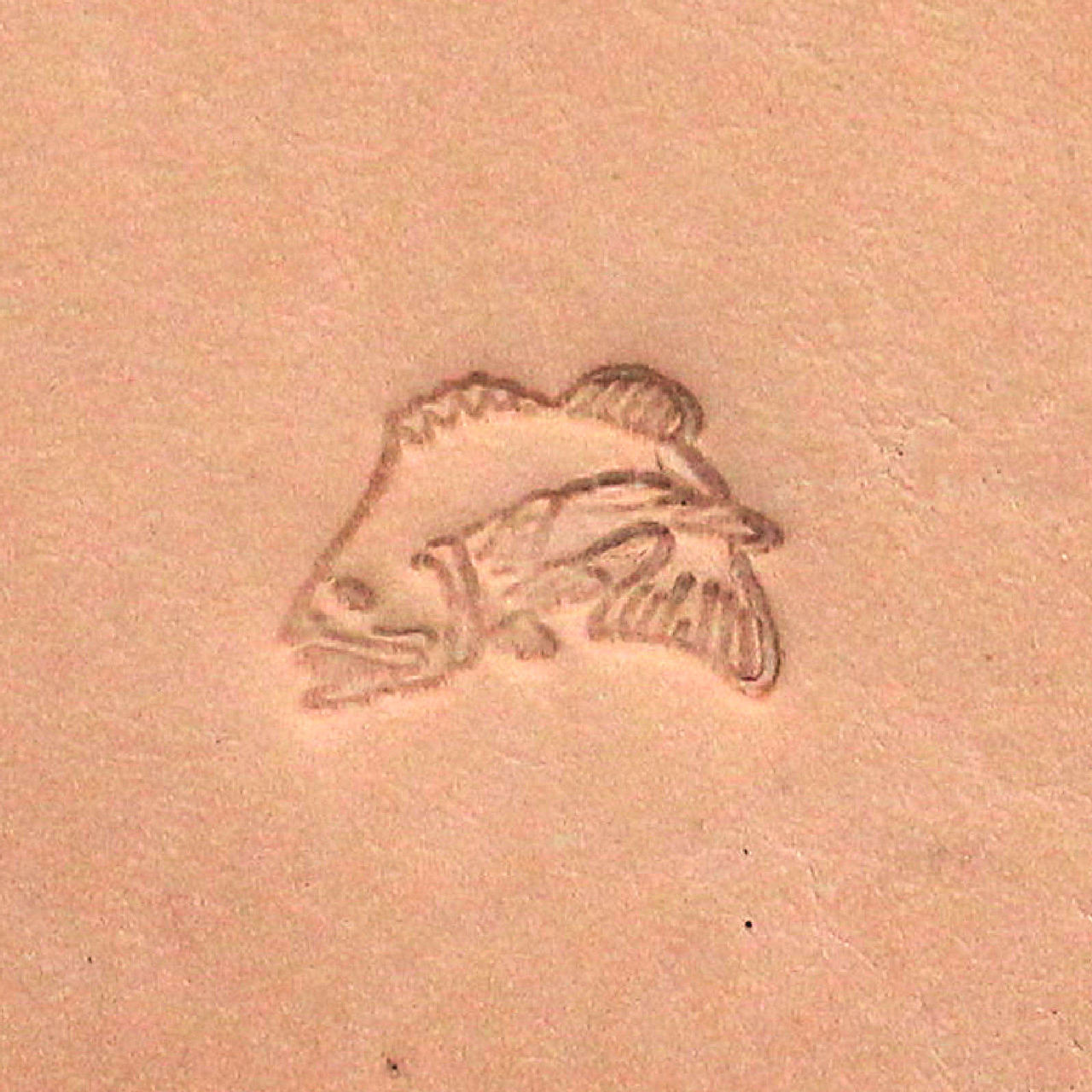 Jumping Colorado Fish Leather Craft Stamp