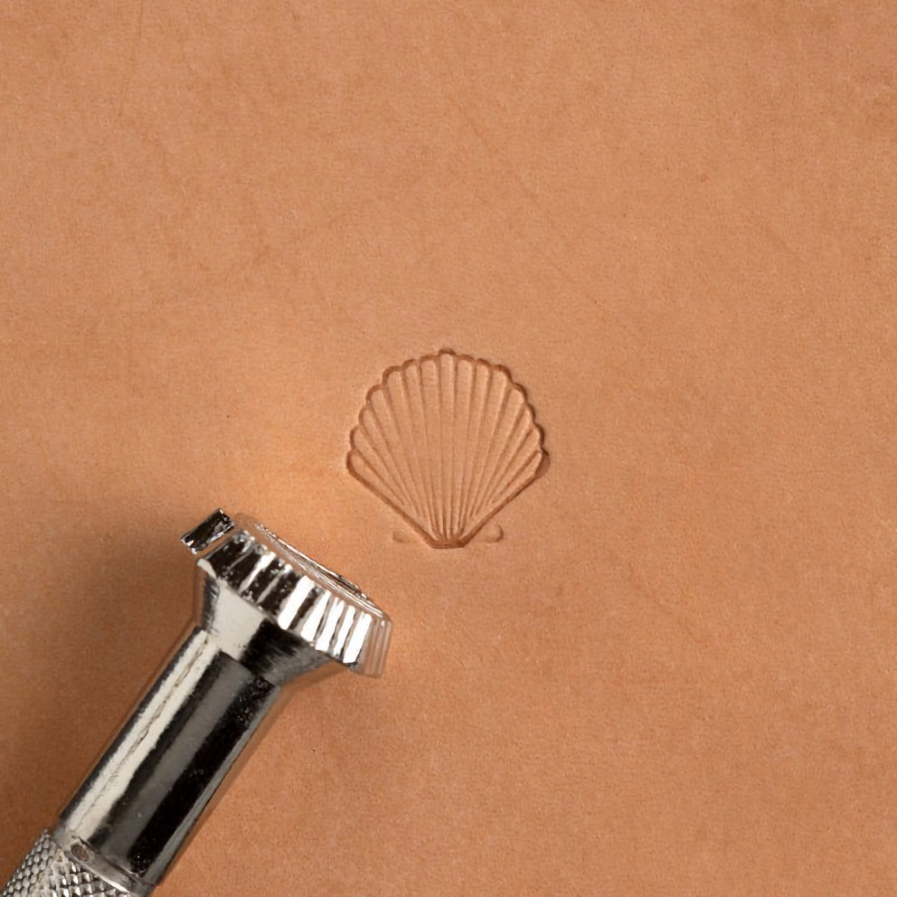 Scalloped shell stamp with leather impression.