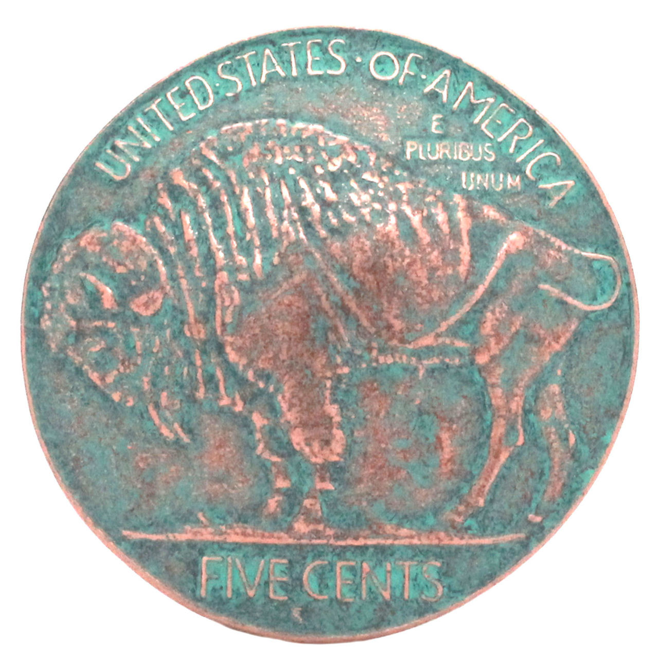 Buffalo Head Nickel Trophy Belt Buckle 
