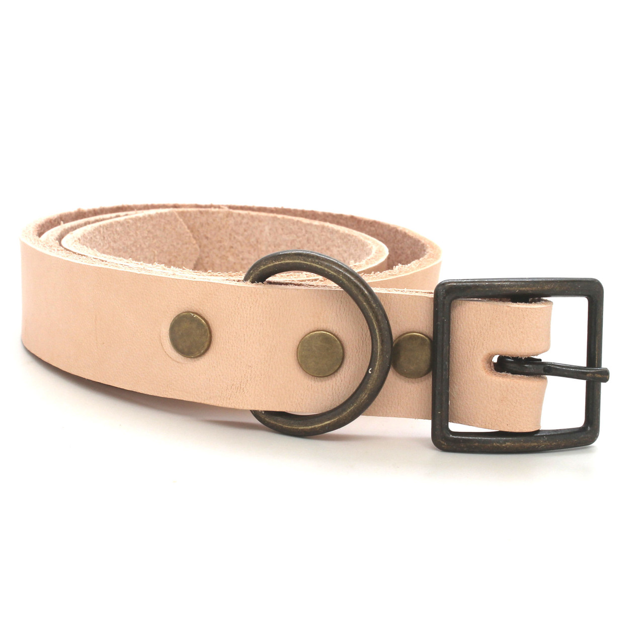 Antique brass dee on dog collar with antique brass rivets and buckle right side.