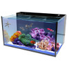 20 Gallon AIO Long Nuvo Fusion Aquarium Desktop (0315-P) - Innovative Marine 20 Gallon AIO Long Nuvo Fusion Aquarium Desktop (0315-P) - Innovative Marine