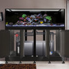 EXT 240 Gallon Complete Reef System – Black (Made To Order) - Innovative Marine