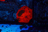 Darth Maul Jawbreaker WYSIWYG - SAQ Coral Farm Darth Maul Jawbreaker WYSIWYG - SAQ Coral Farm