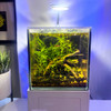 (OPEN BOX) Glass Small-In-One 1 Gallon Desktop Aquarium (Freshwater) - PNW Customs