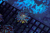 Grafted Frogspawn Coral WYSIWYG - SAQ Coral Farm Grafted Frogspawn Coral WYSIWYG - SAQ Coral Farm