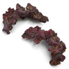 (OPEN BOX)  Life Rock NANO Arches (4 Arches) - CaribSea