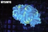 Splatter Bubble Coral Colony WYSIWYG - SAQ Coral Farm Splatter Bubble Coral Colony WYSIWYG - SAQ Coral Farm