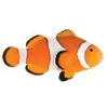 Captive-Bred Ocellaris (Amphiprion ocellaris) PAIR - ORA
