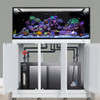 INT 170 Gallon Complete Reef System – White (Made To Order) - Innovative Marine