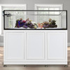 EXT 200 Peninsula Aquarium w/ APS Stand - White (Made to Order) - Innovative Marine EXT 200 Peninsula Aquarium w/ APS Stand - White (Made to Order) - Innovative Marine