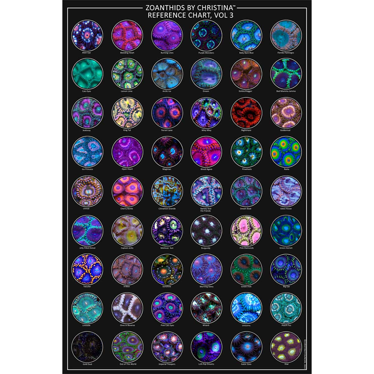 Zoanthids Volume 3 by Christina Zoa Coral Identification Poster (24" x