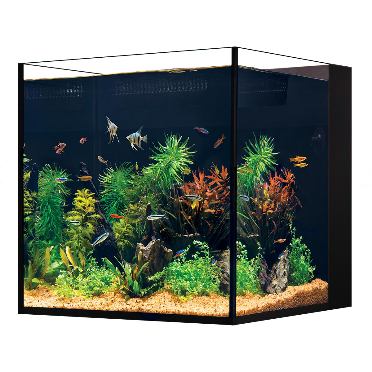 18.5 Gallon Desktop Cube Aquarium - Tank Only (17.7 x 17.7 x 16.5