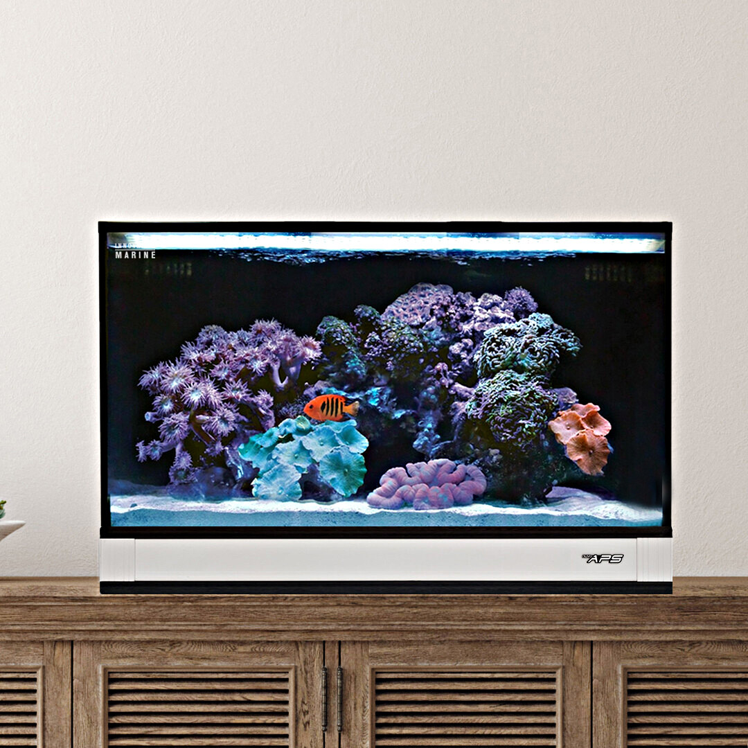 Fusion Pro 2 - 20 AIO Aquarium w/ APS Pedestal (0305-W) White