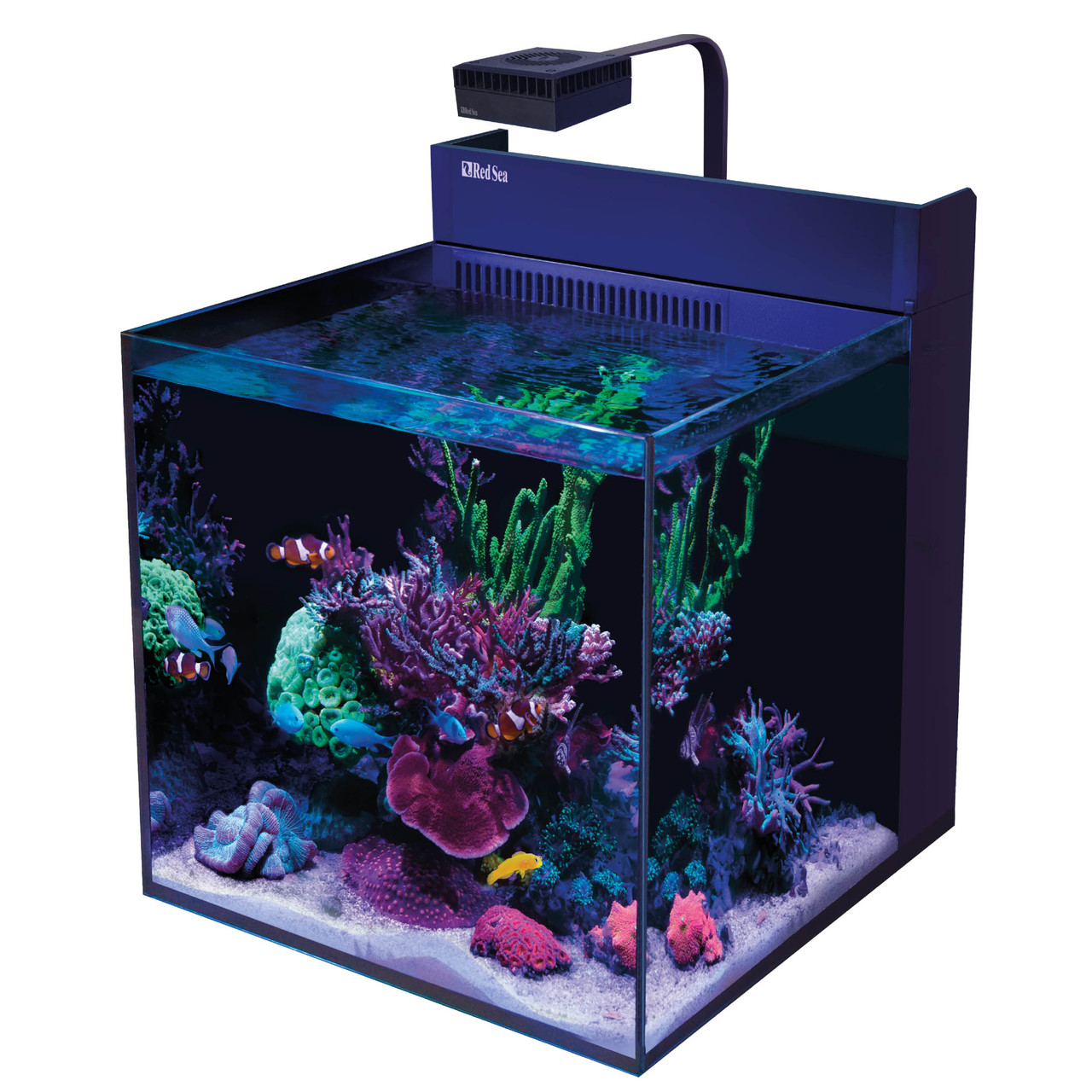 Black Max Nano XL G2 - 33 Gallon Aquarium (Black Stand