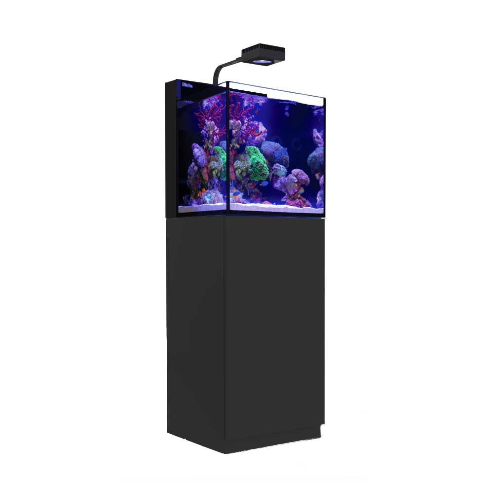Black Max Nano Cube G2 - 20 Gallon Aquarium (Black Stand) - Red