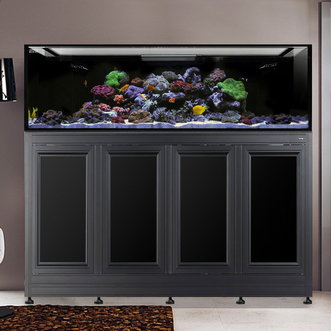 EXT 240 Aquarium w/ APS Stand - Black (Made to Order) - Innovative