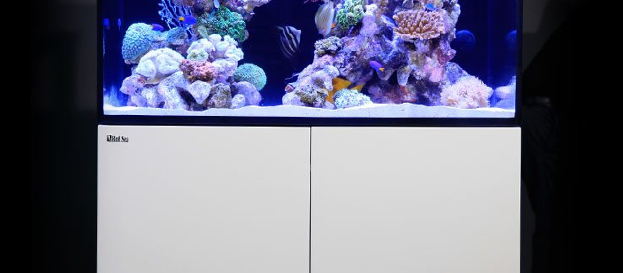 Max E 260 - 69 Gallon White Complete Reef System - Red Sea