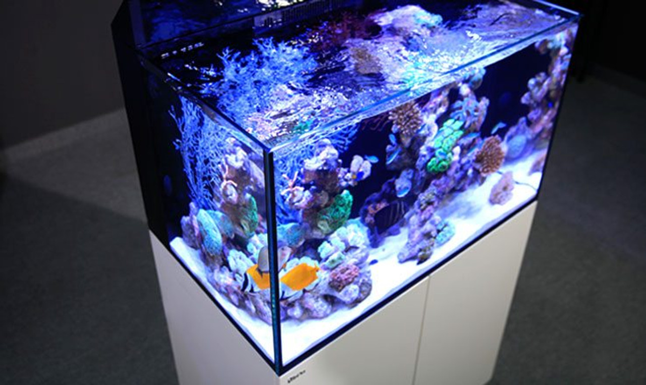 Max E 260 - 69 Gallon White Complete Reef System - Red Sea