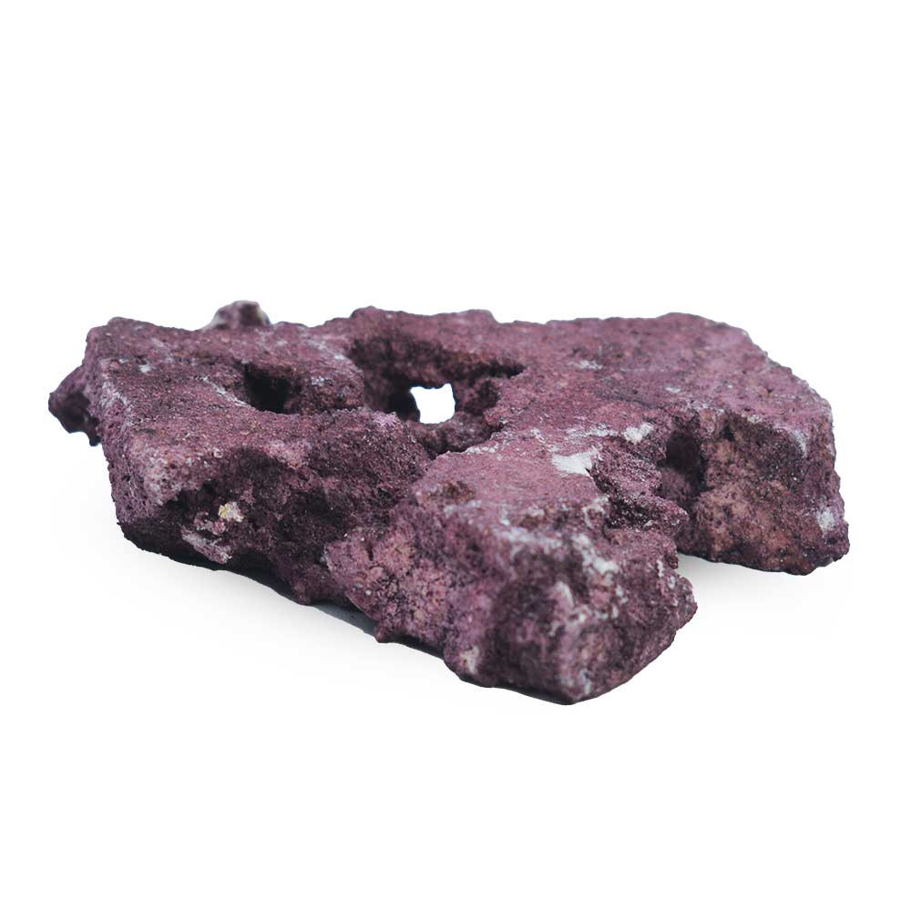 MarcoRocks Frag Mounts - Coralline (9 lbs) - Marco Rock