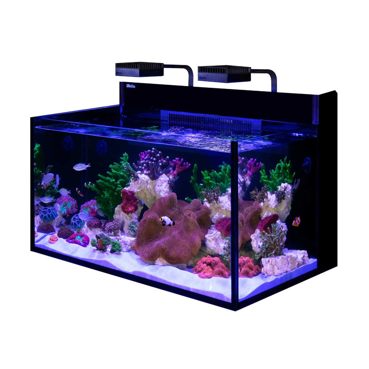 アクアリウム Aqua-Max A60 MAX Nano G2 XXL - 53 Gallon Aquarium (TANK ONLY) - RedSea
