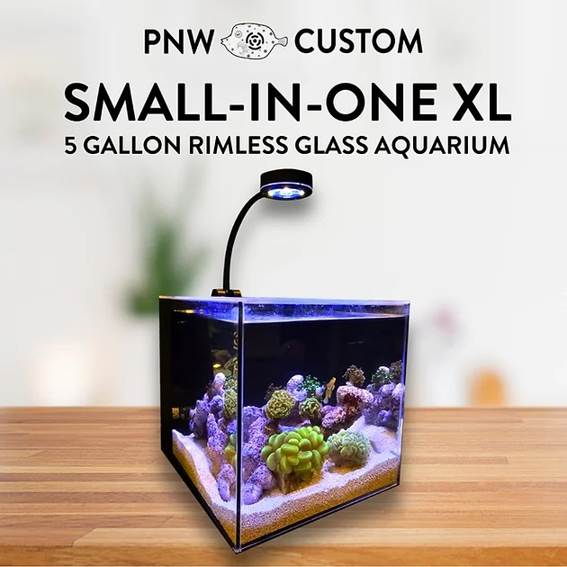 Glass Small-In-One XL 5 Gallon Desktop Aquarium - PNW Custom