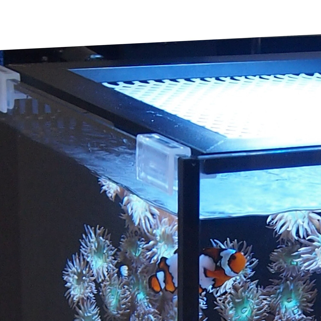 Aquarium Lid/Mesh Screen Clips 8mm (0.314") 4 Pack Innovative