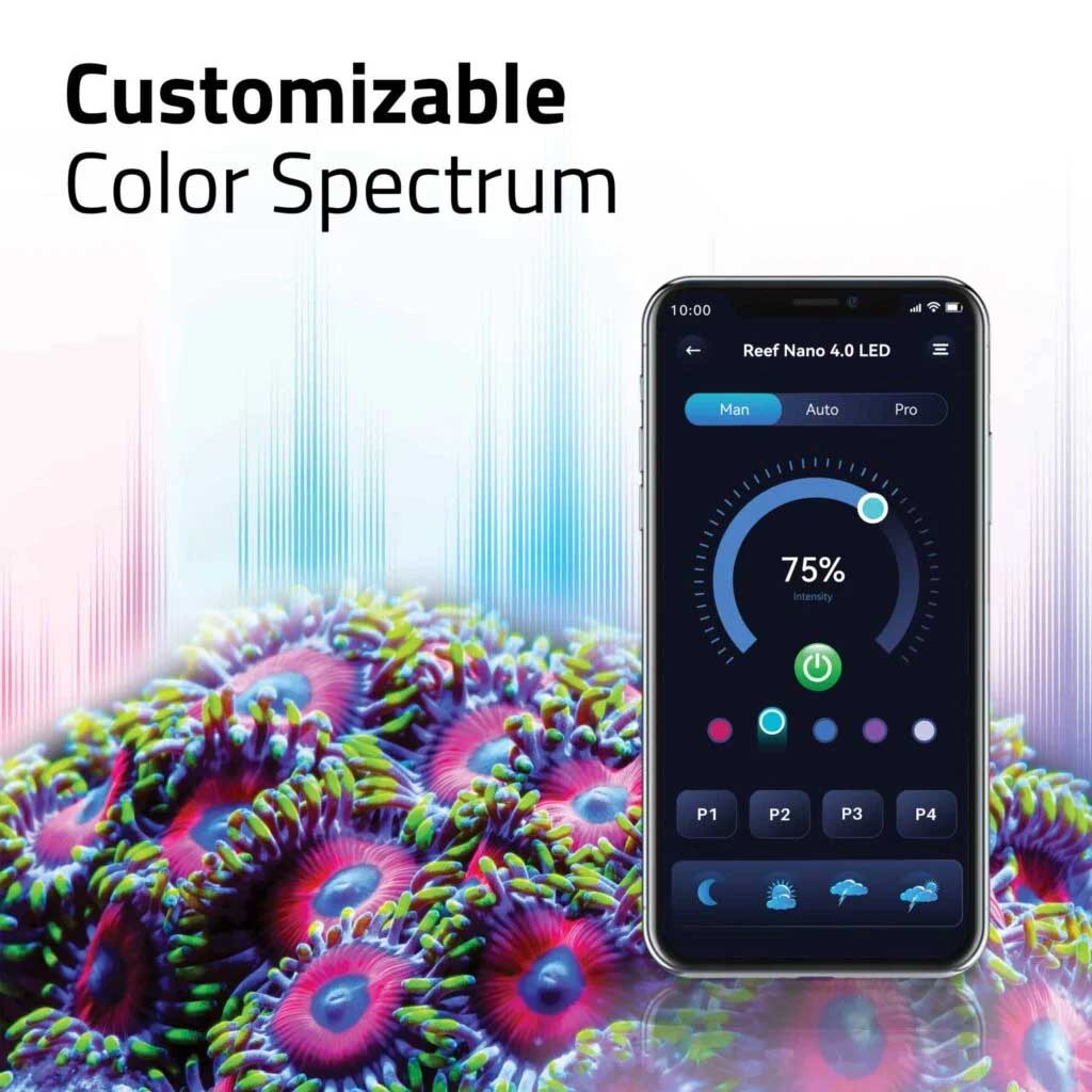 Reef 4.0 (35