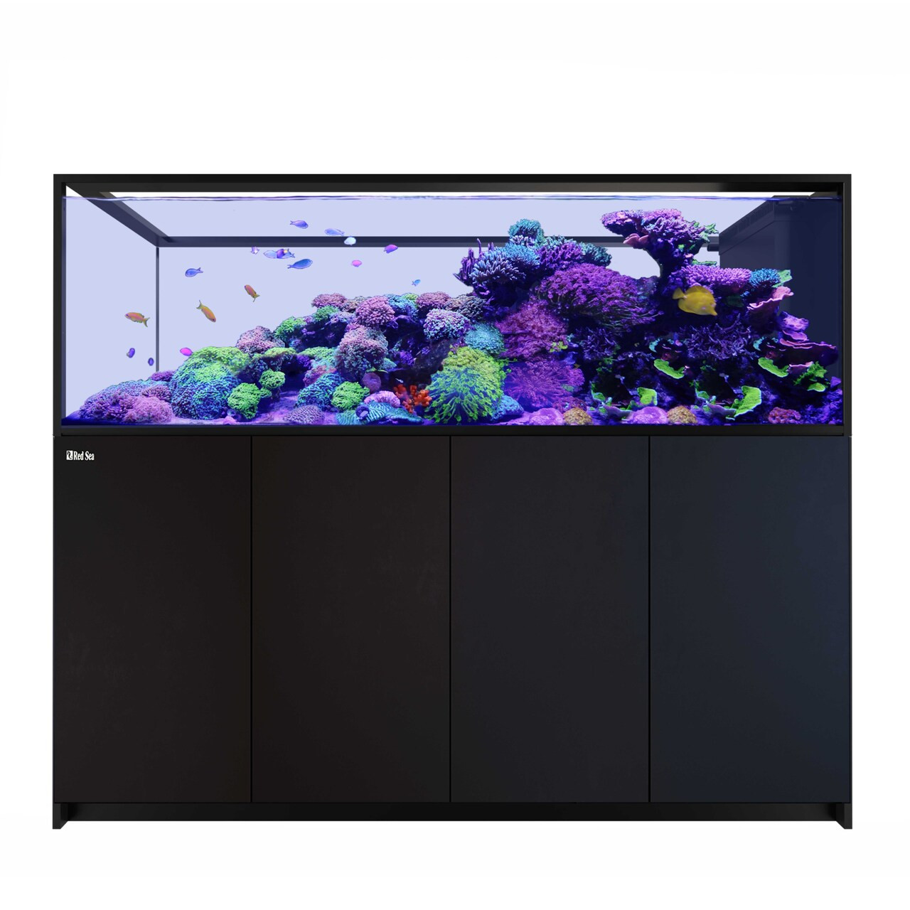 reef Reefer Peninsula S-950 G3 - 250 Gallon Black All In One Aquarium