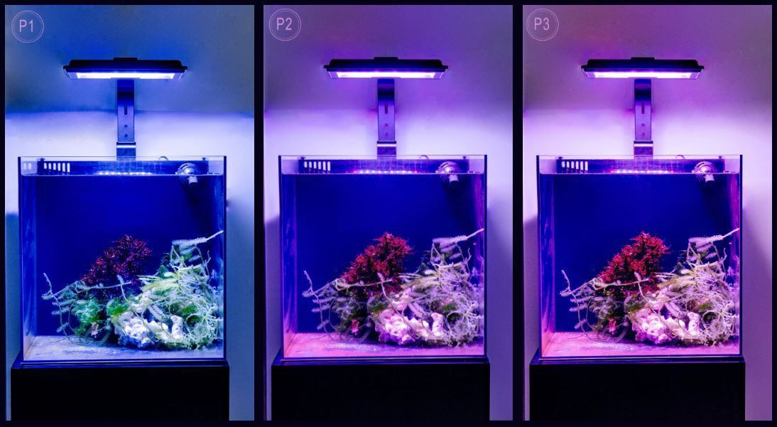 Jump MJ-L230R LED Refugium Light Fixture - Maxspect
