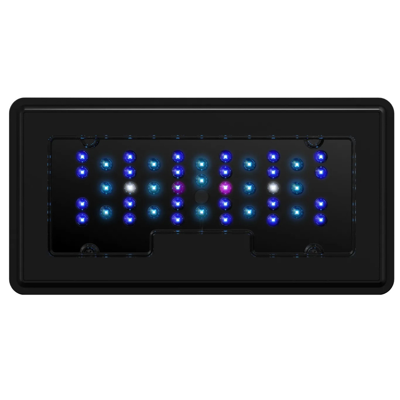 Jump MJ-L230R LED Light Fixture - Maxspect - SaltwaterAquarium.com