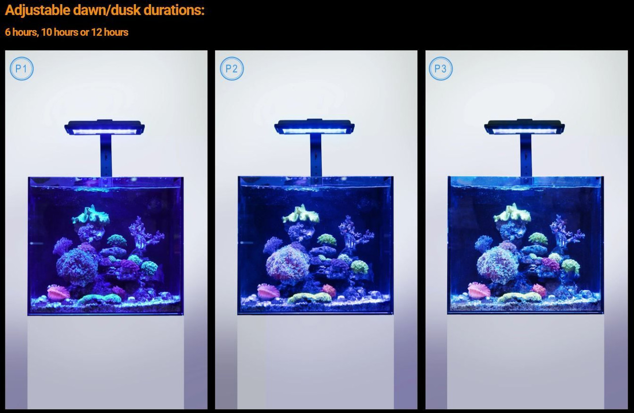 Jump MJ-L230R LED Light Fixture - Maxspect - SaltwaterAquarium.com