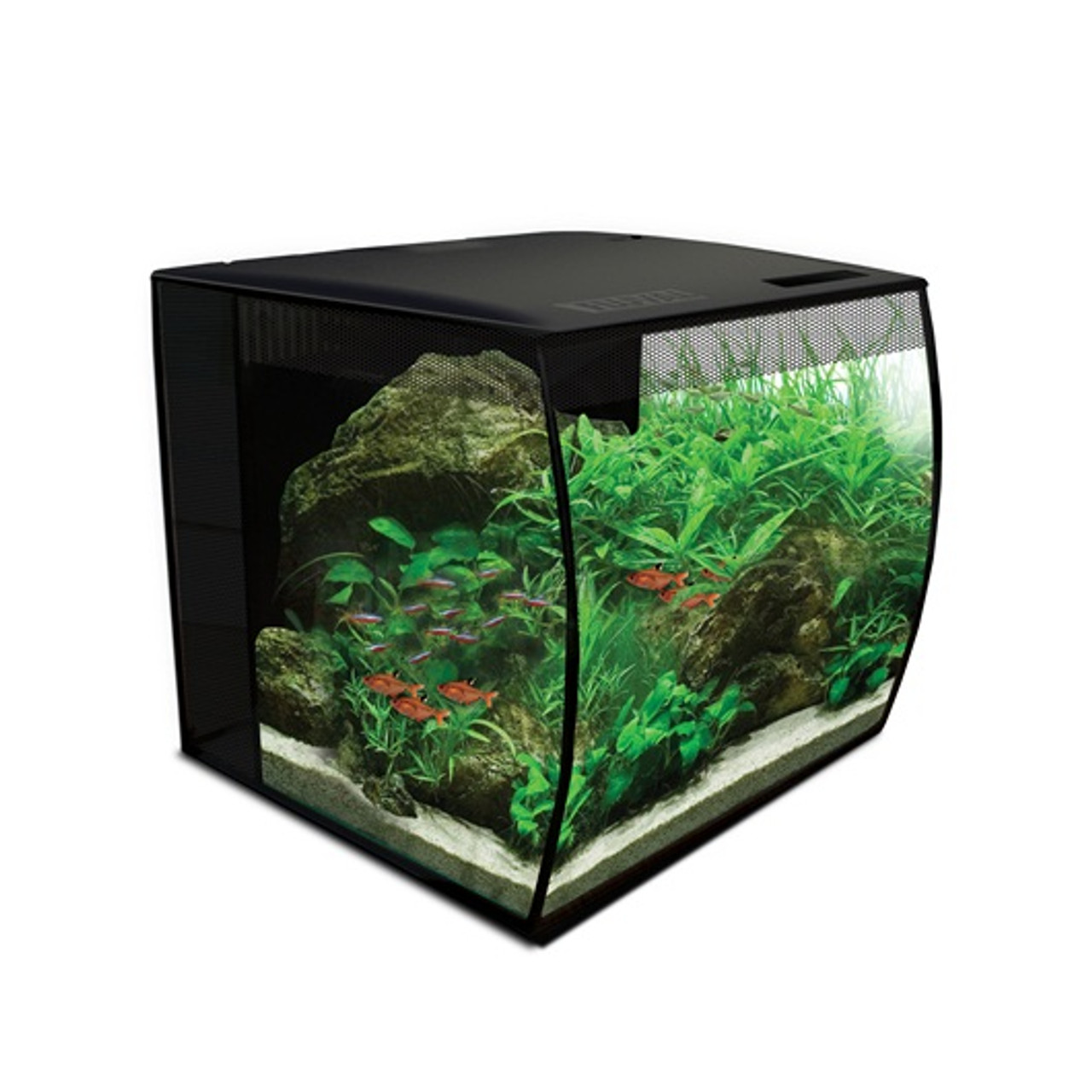 AQUA DELLA décoration pour aquarium 15,5 x 12,5 x 11 cm