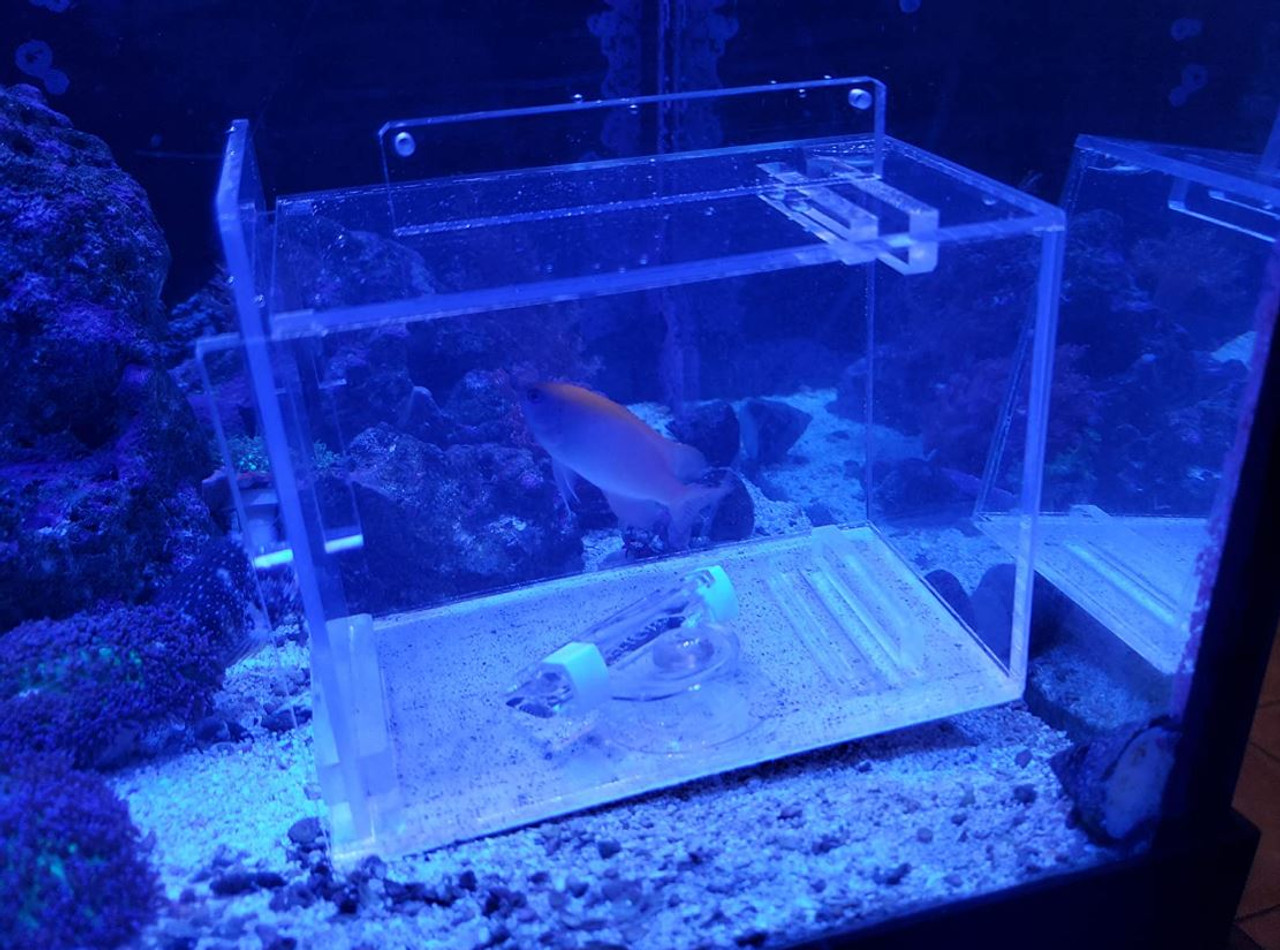 Custom, LED and Acrylic fresh fish storage boxes Aquariums 